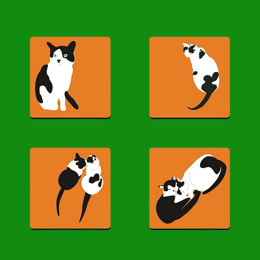 Cat Coaster Set