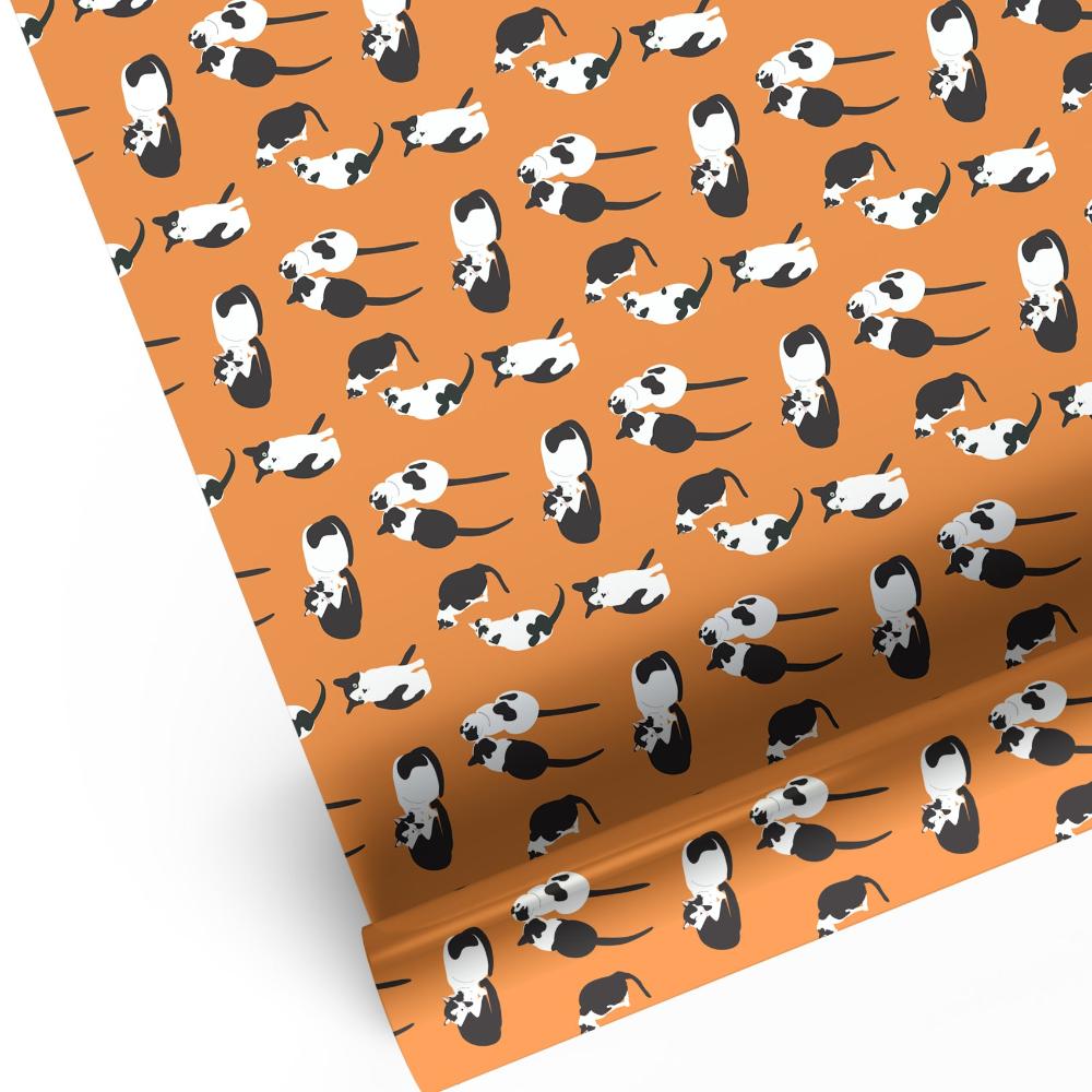 bright orange luxury gift wrap with black and white cat animal print 