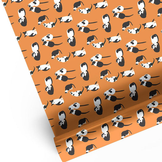 bright orange luxury gift wrap with black and white cat animal print 