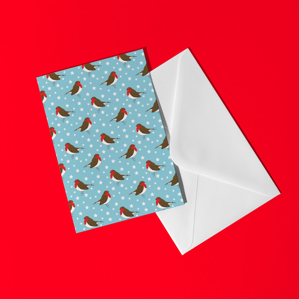 Robins Cards and Envelopes - pack of 5